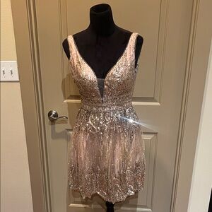 Sparkling Sequin Dress